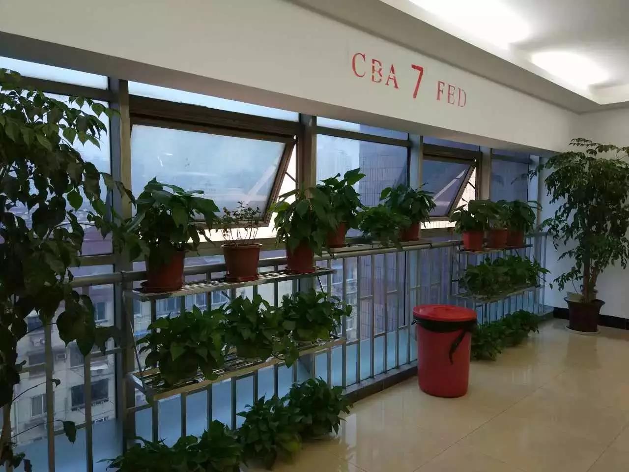 1493690996996416.jpg 7.jpg